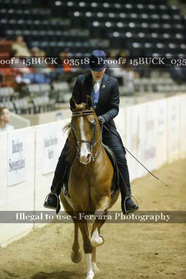 Proof 15BUCK_03518