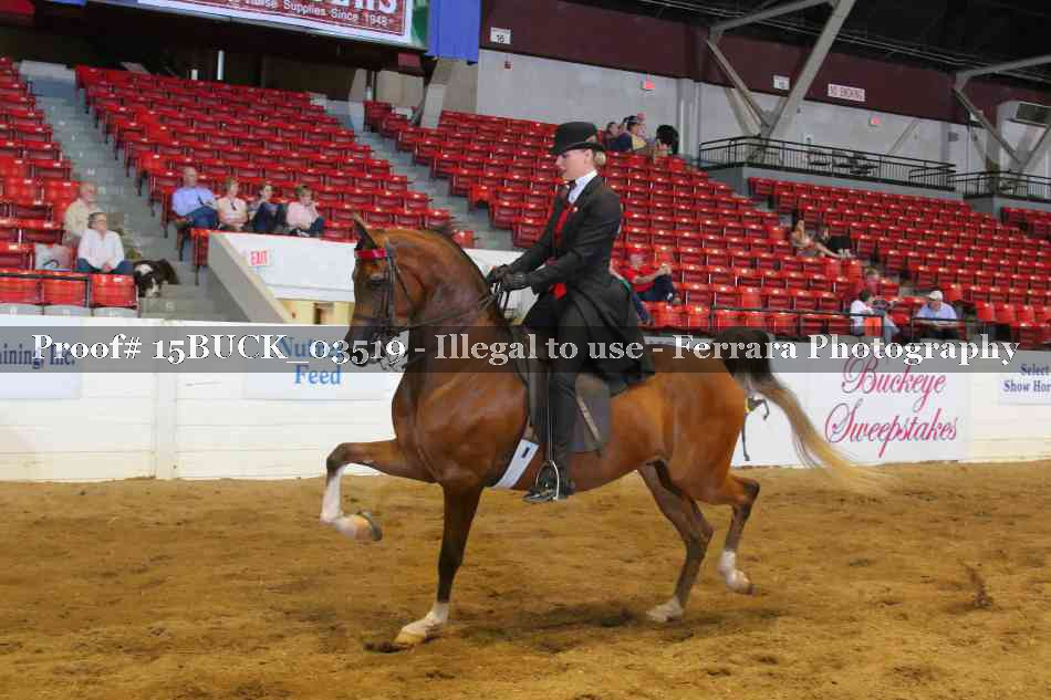 Proof 15BUCK_03519