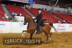 15BUCK_03519 proof