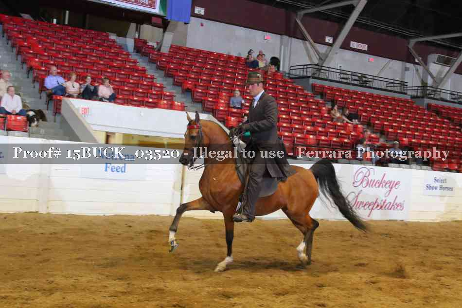 Proof 15BUCK_03520
