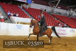15BUCK_03520 proof
