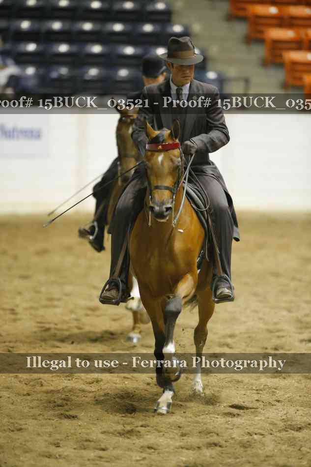 Proof 15BUCK_03521