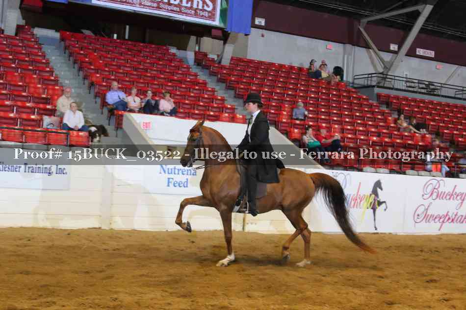 Proof 15BUCK_03522