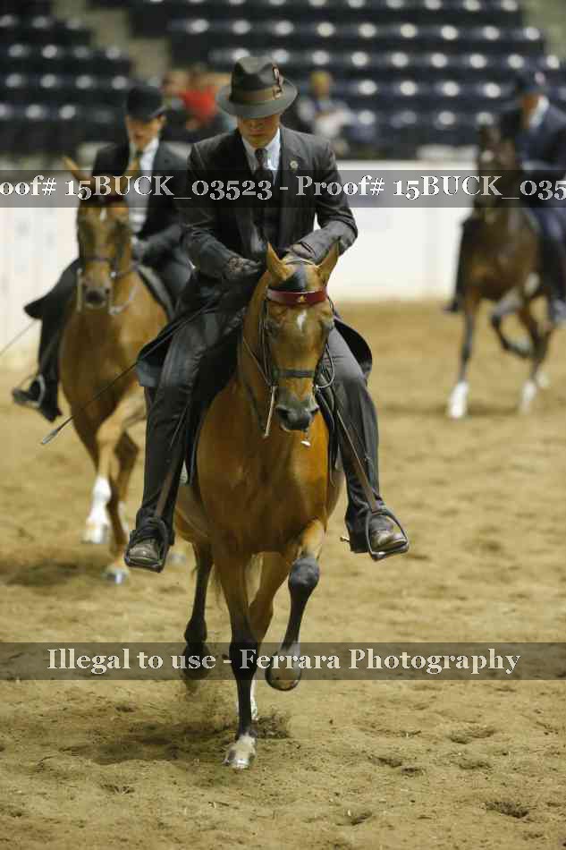 Proof 15BUCK_03523