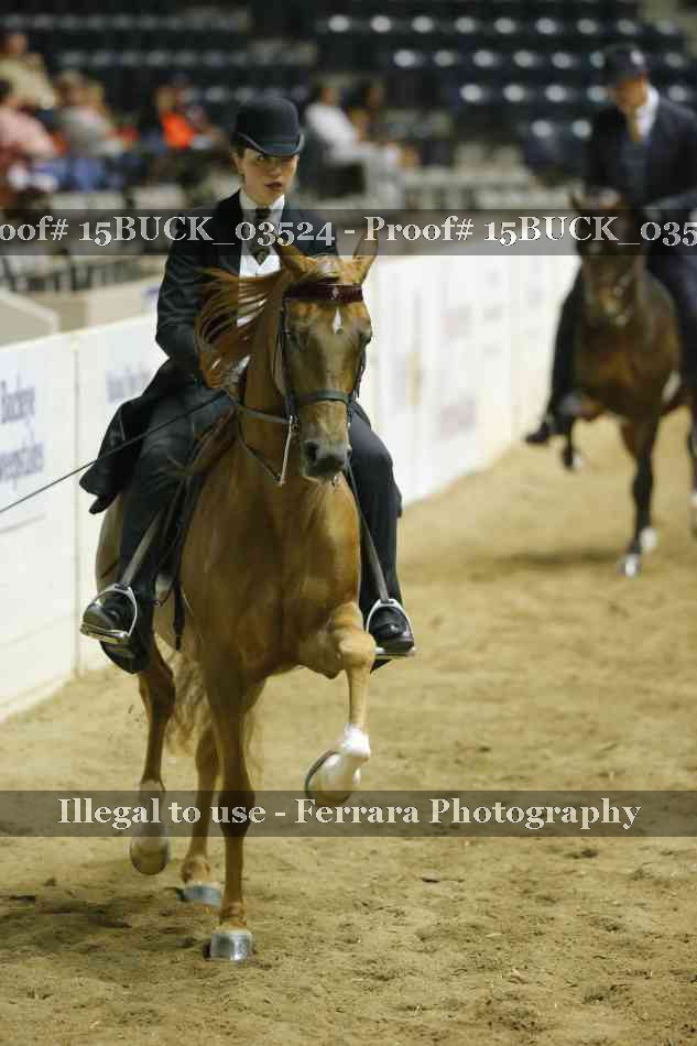 Proof 15BUCK_03524