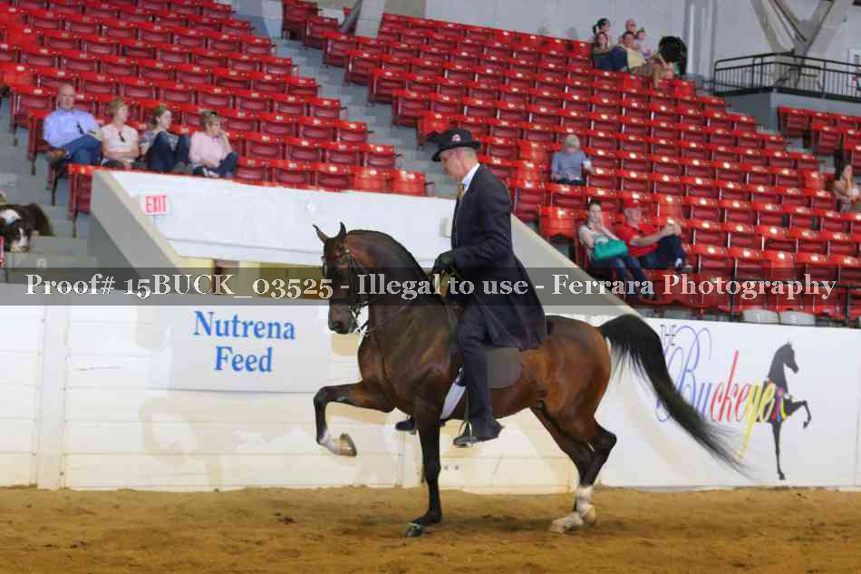 Proof 15BUCK_03525