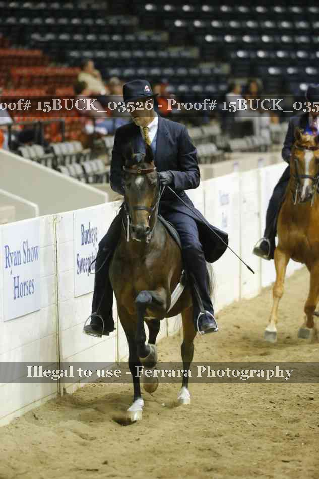 Proof 15BUCK_03526
