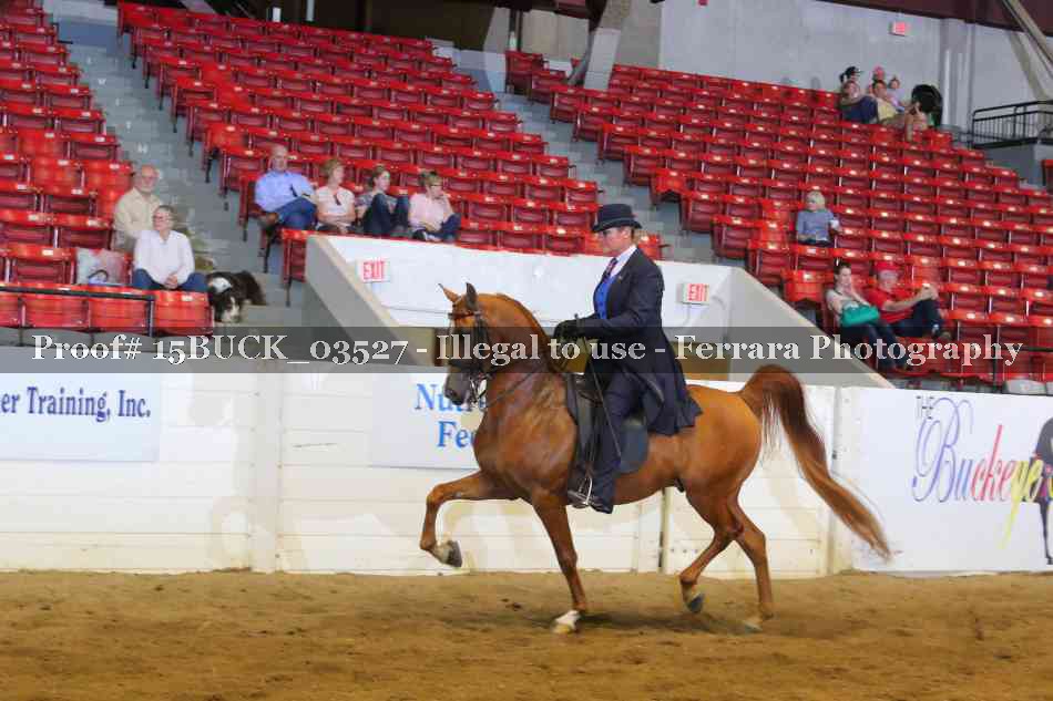 Proof 15BUCK_03527