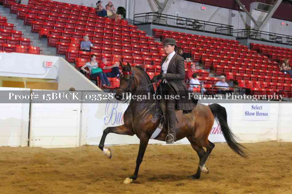 Proof 15BUCK_03528