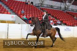 15BUCK_03528 proof