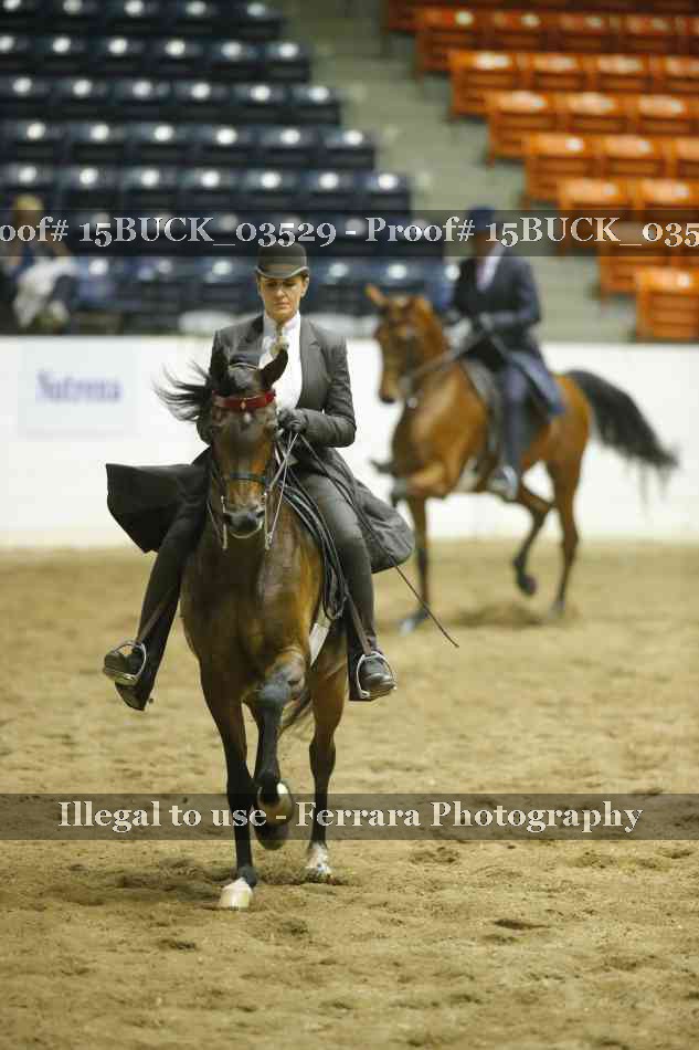 Proof 15BUCK_03529