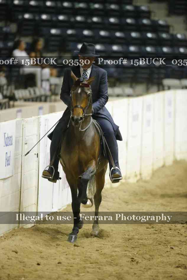 Proof 15BUCK_03530