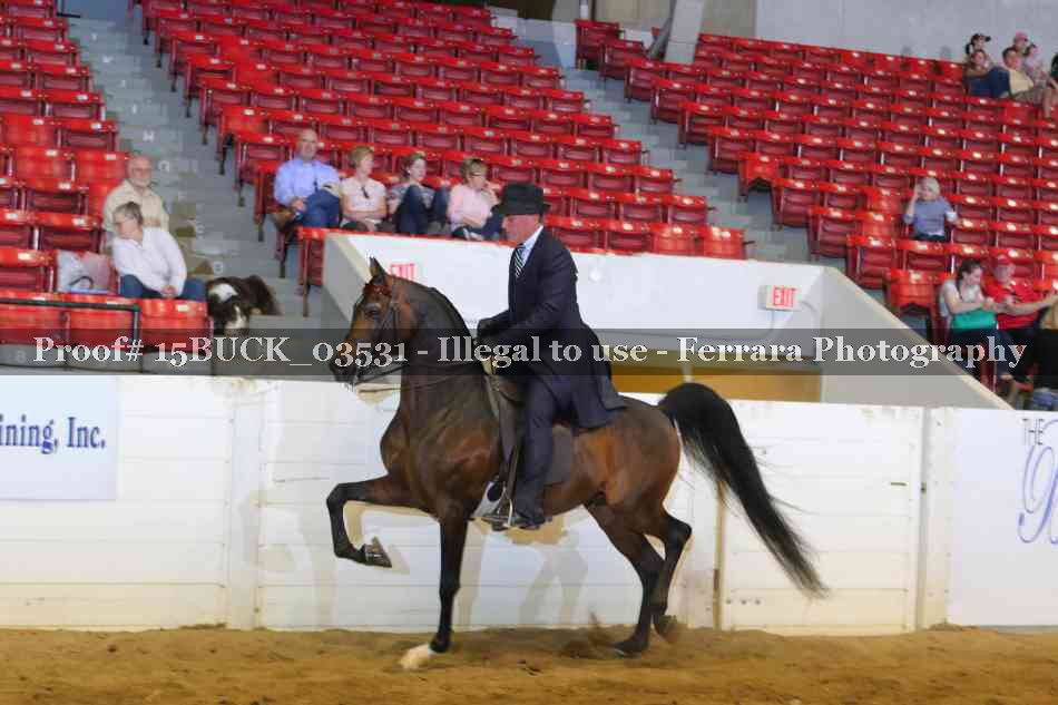 Proof 15BUCK_03531