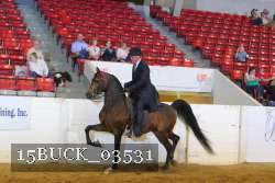 15BUCK_03531 proof
