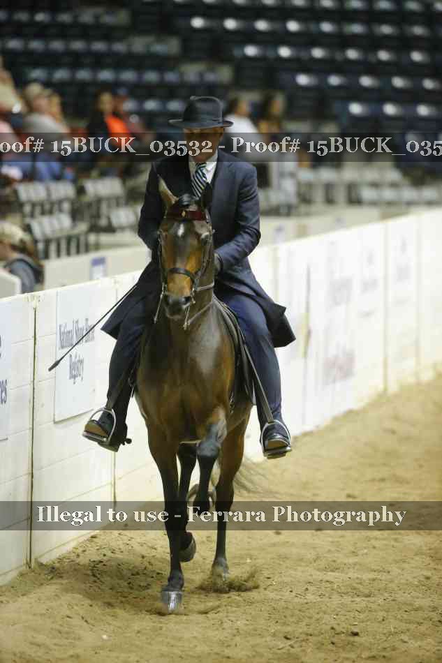 Proof 15BUCK_03532