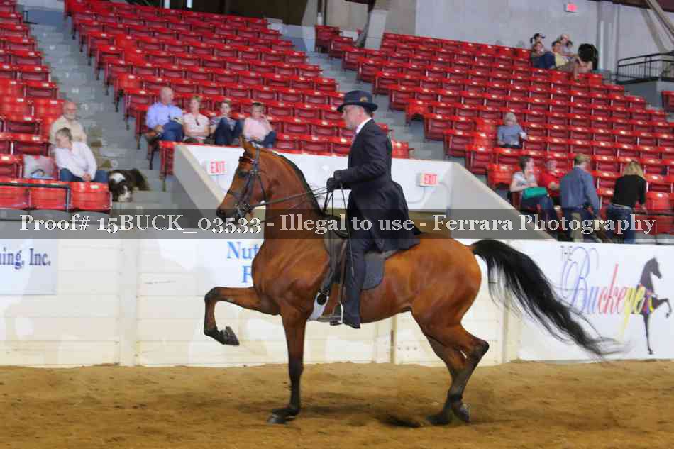 Proof 15BUCK_03533