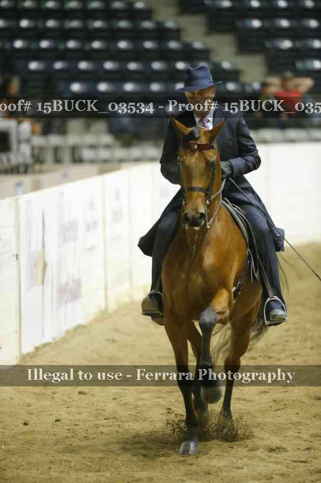 Proof 15BUCK_03534