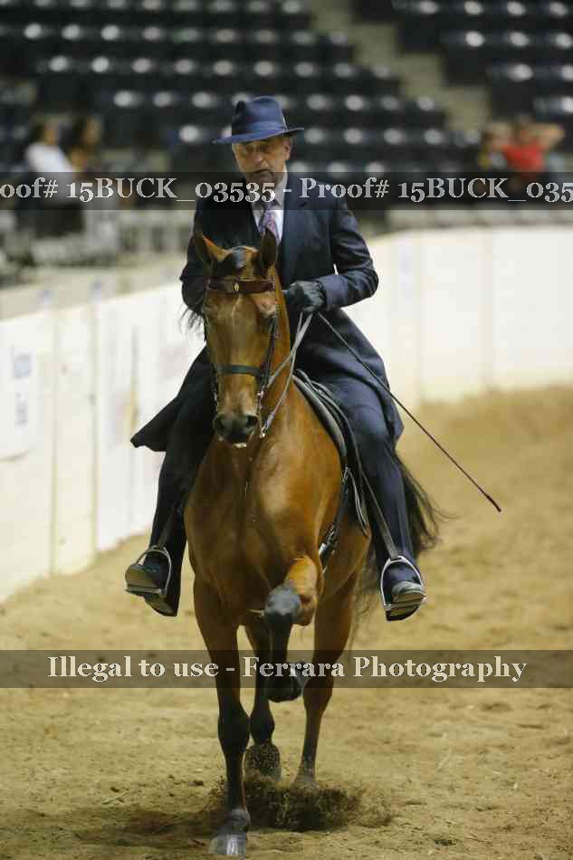 Proof 15BUCK_03535