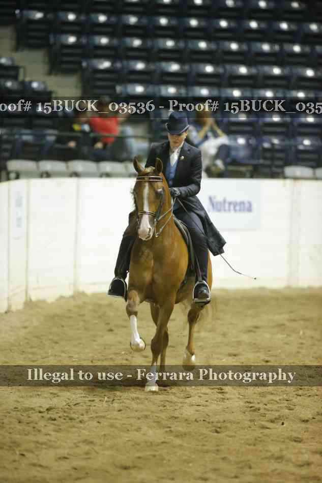 Proof 15BUCK_03536