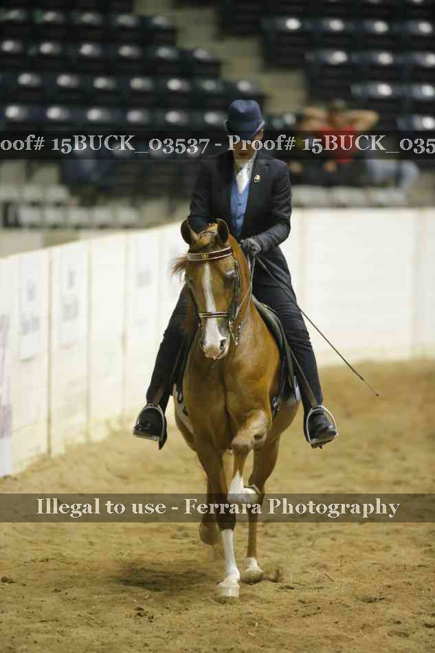Proof 15BUCK_03537