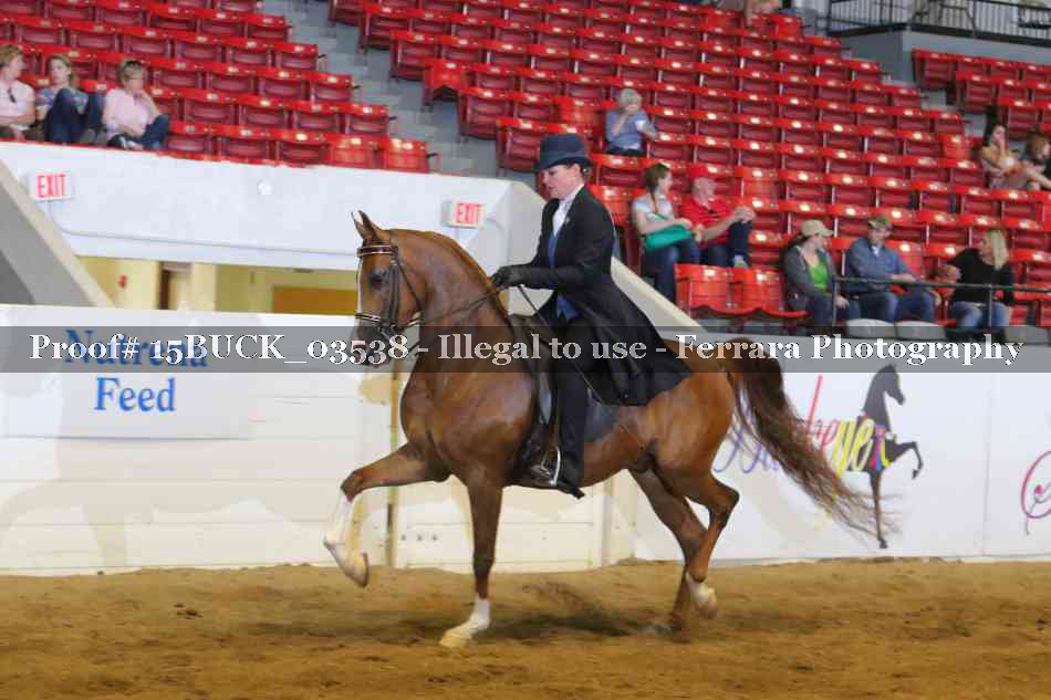 Proof 15BUCK_03538