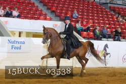 15BUCK_03538 proof