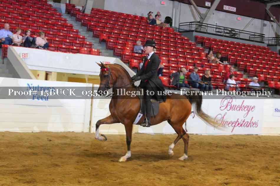 Proof 15BUCK_03539