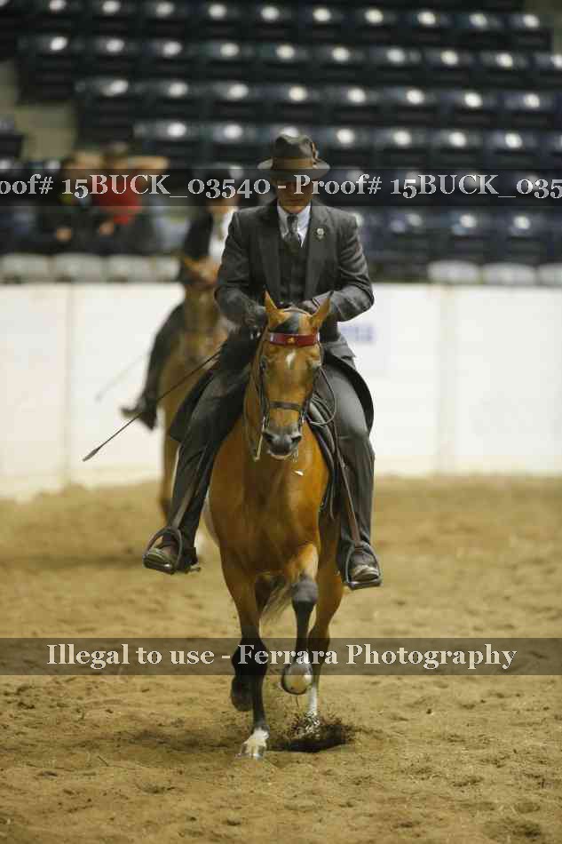 Proof 15BUCK_03540