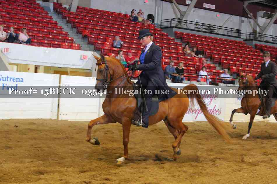 Proof 15BUCK_03541