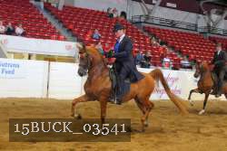 15BUCK_03541 proof