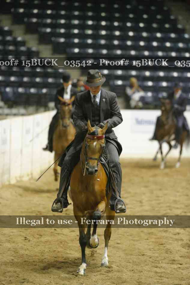 Proof 15BUCK_03542
