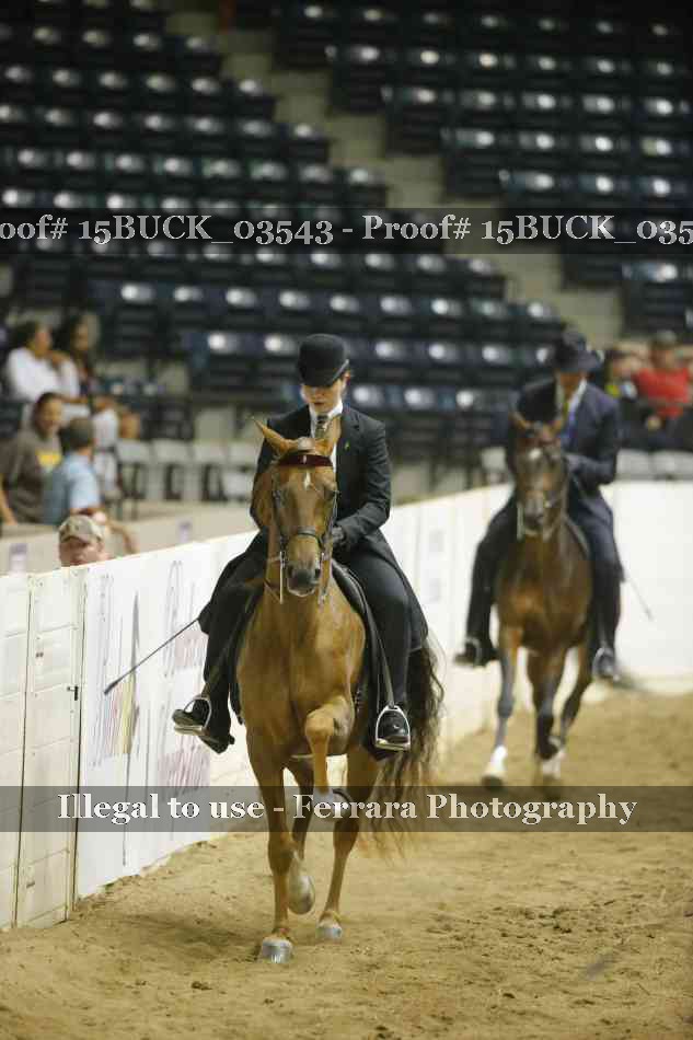 Proof 15BUCK_03543