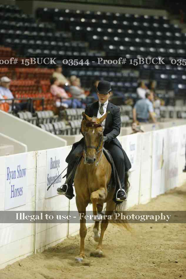 Proof 15BUCK_03544