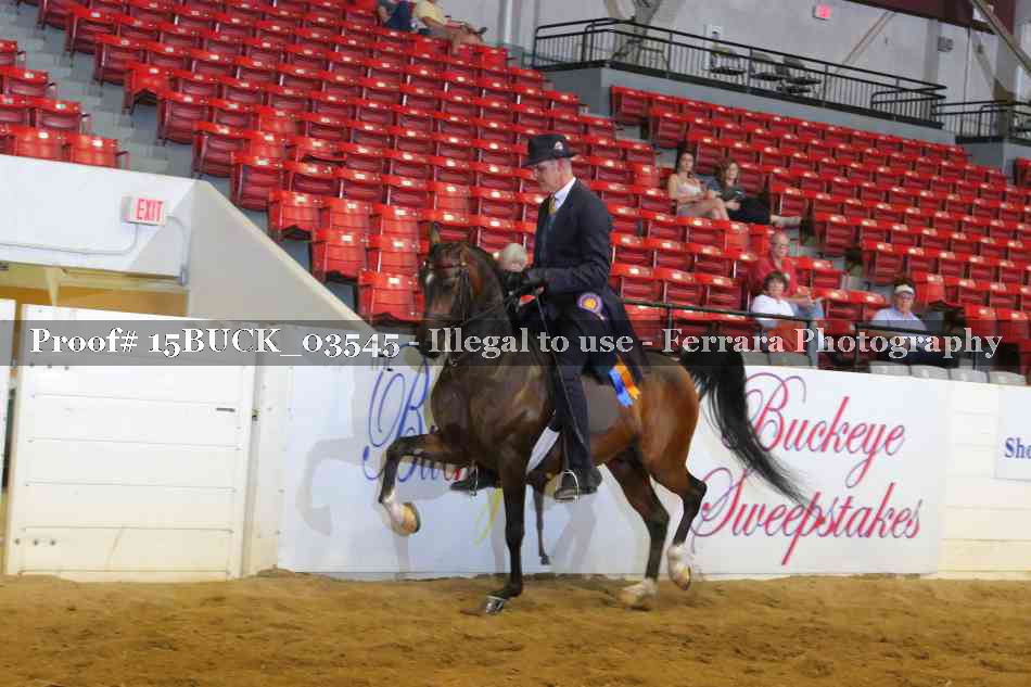 Proof 15BUCK_03545