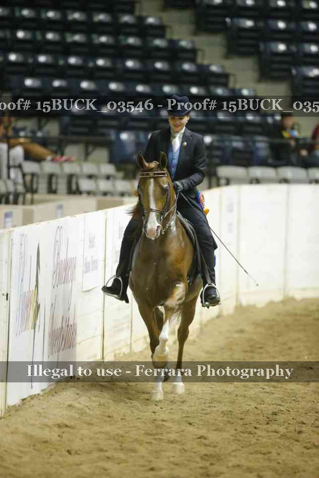 Proof 15BUCK_03546