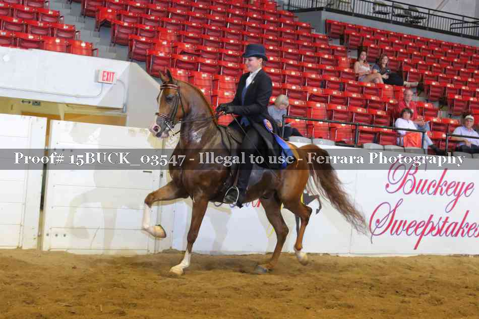 Proof 15BUCK_03547