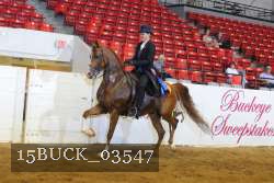15BUCK_03547 proof