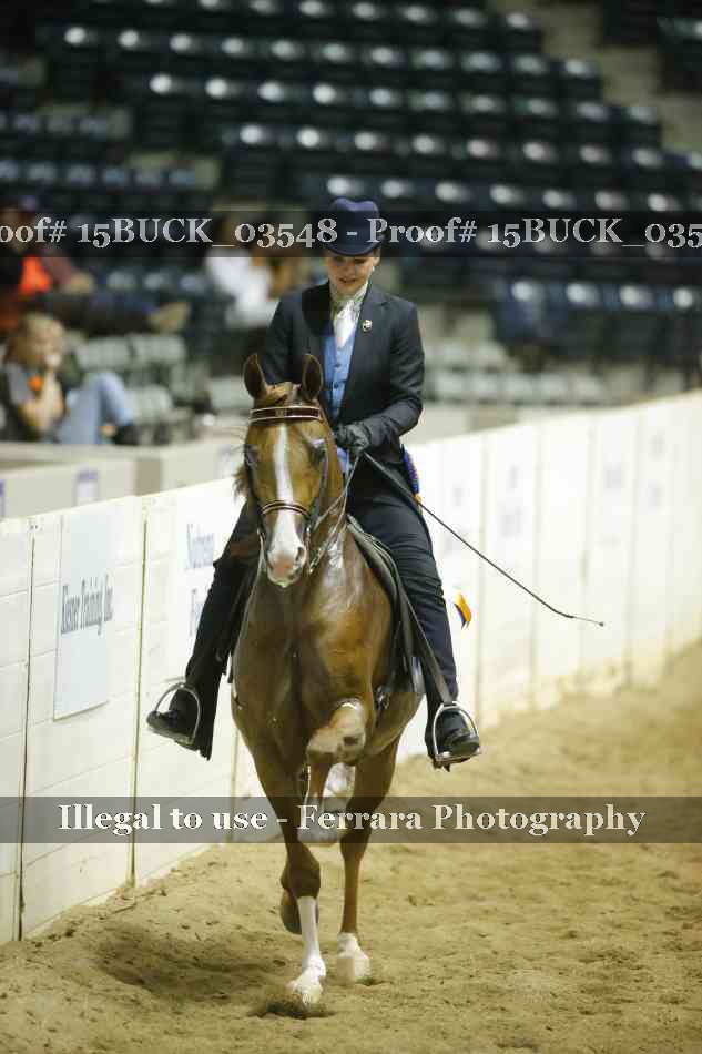 Proof 15BUCK_03548
