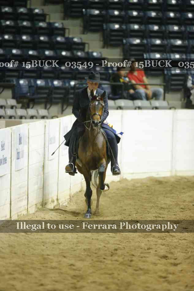 Proof 15BUCK_03549