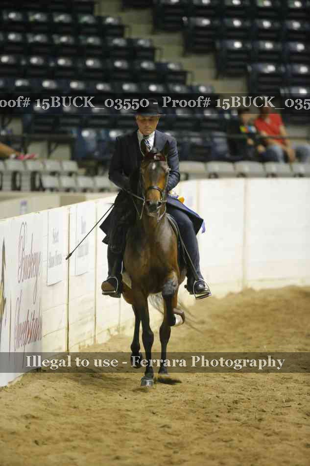 Proof 15BUCK_03550