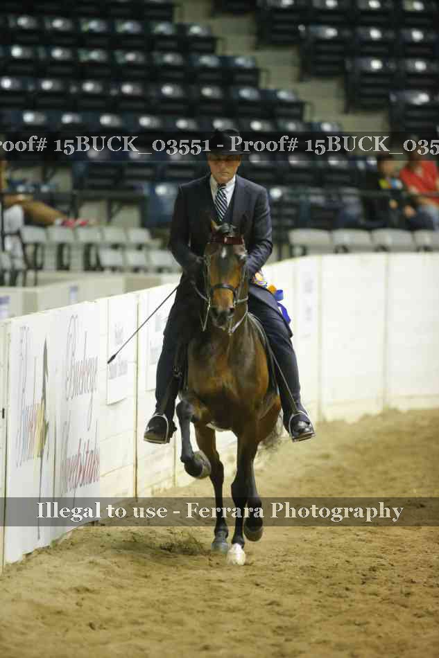 Proof 15BUCK_03551