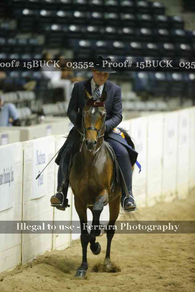 Proof 15BUCK_03552