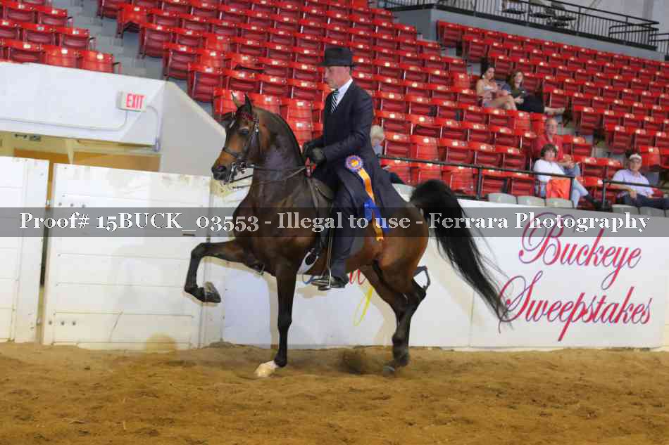 Proof 15BUCK_03553