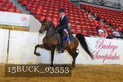 15BUCK_03553 proof