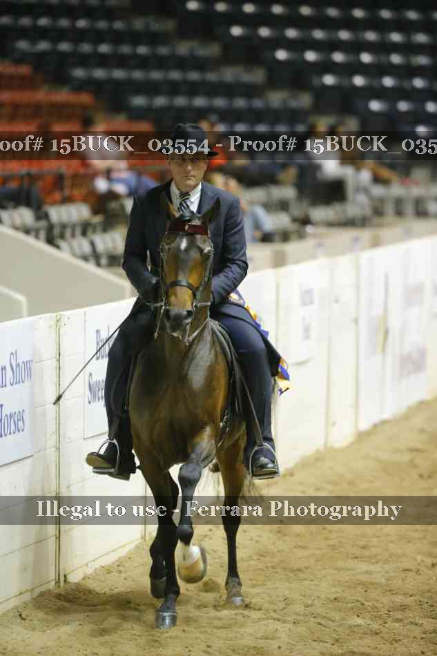 Proof 15BUCK_03554