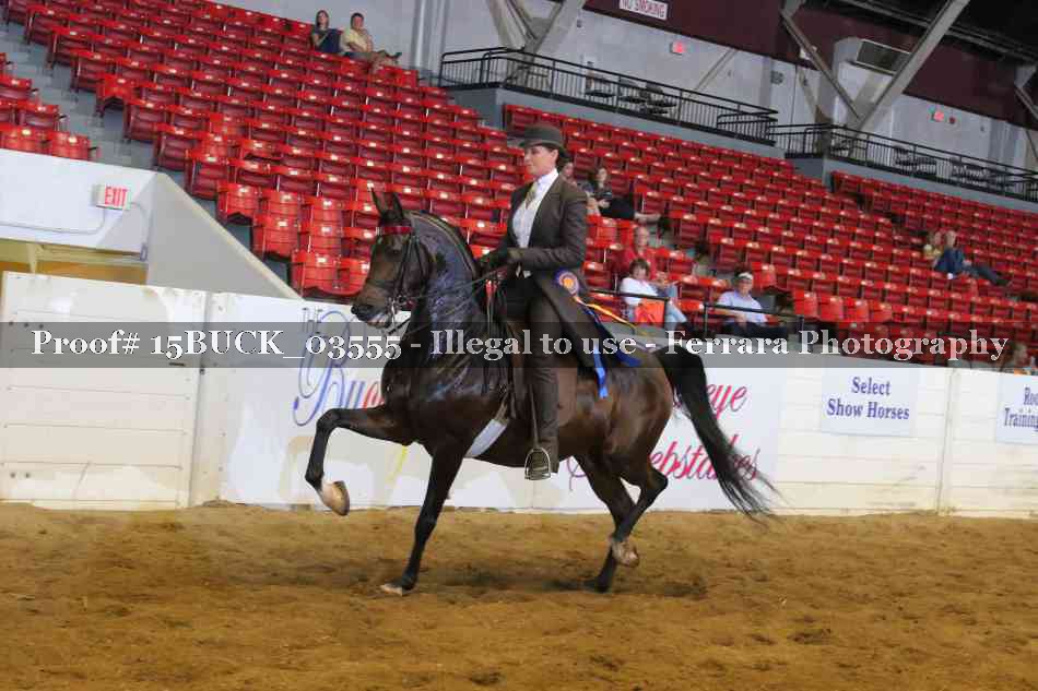Proof 15BUCK_03555