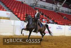 15BUCK_03555 proof