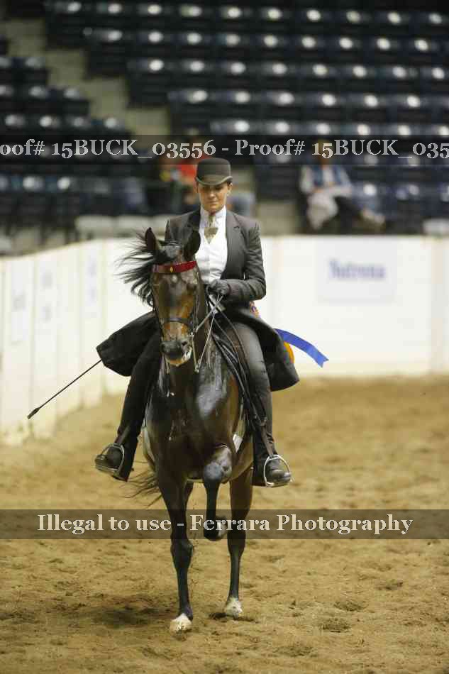 Proof 15BUCK_03556