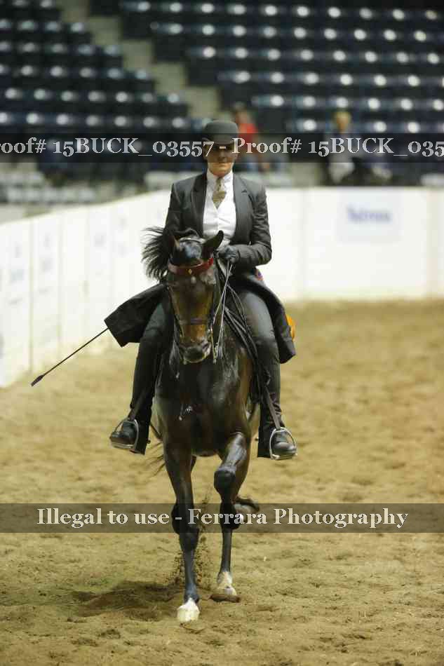 Proof 15BUCK_03557