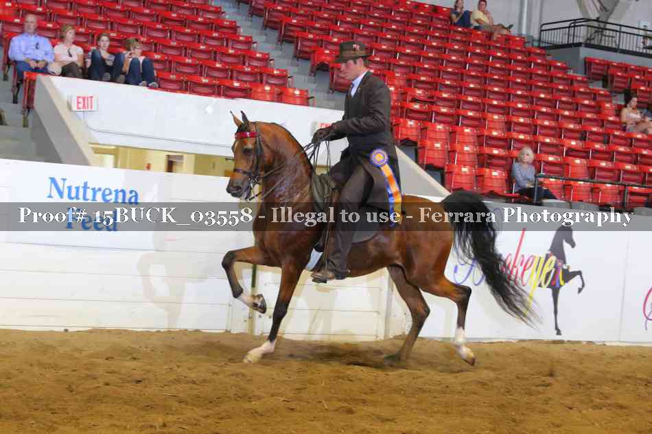 Proof 15BUCK_03558